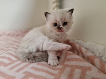 thumbnail_20230425_174308