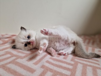 thumbnail_20230425_174939