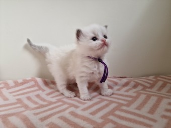 thumbnail_20230425_175408