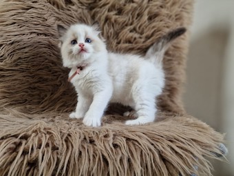 thumbnail_20230517_104903