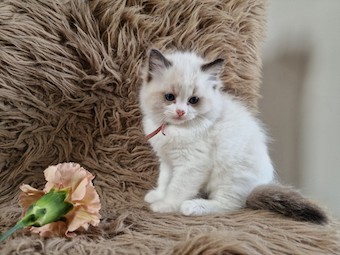 thumbnail_20230517_105011