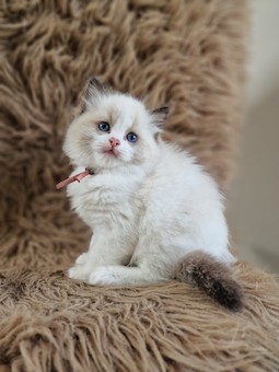 thumbnail_20230517_105016