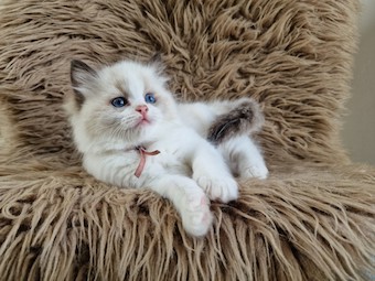 thumbnail_20230517_105053