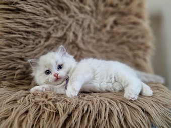 thumbnail_20230517_105427