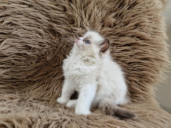 thumbnail_20230517_110558