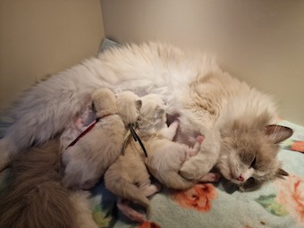 thumbnail_20230225_175051