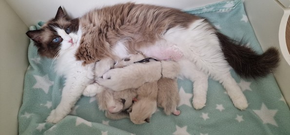 thumbnail_20230827_143218gez