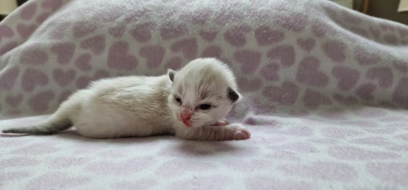 thumbnail_20230824_1451290p