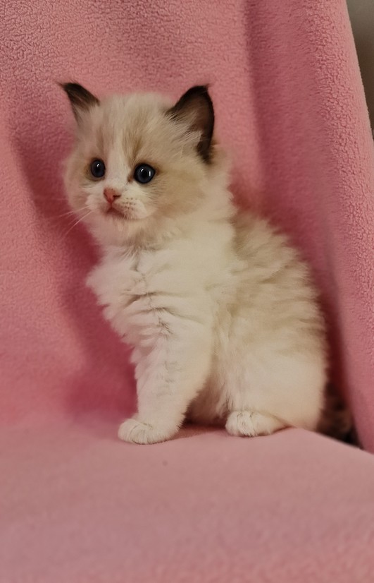 thumbnail_20230927_153100pa