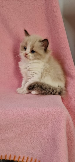 thumbnail_20230927_153813li