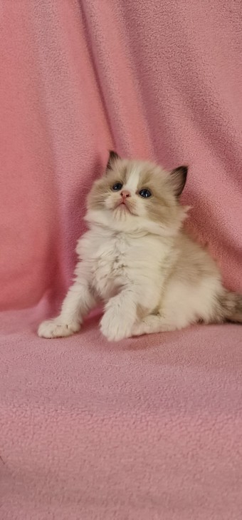 thumbnail_20230927_153832li