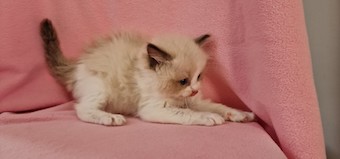 thumbnail_20230927_154100li