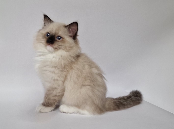 thumbnail_20231027_134550fl3