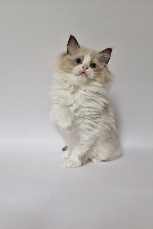 thumbnail_20231027_145443a2