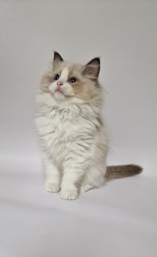 thumbnail_20231027_145511a1