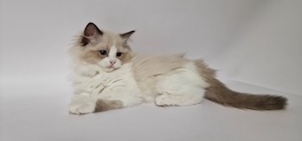 thumbnail_20231027_145643a3