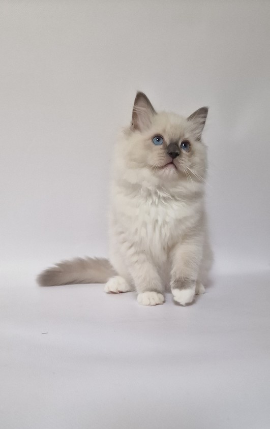 thumbnail_20231028_1207530