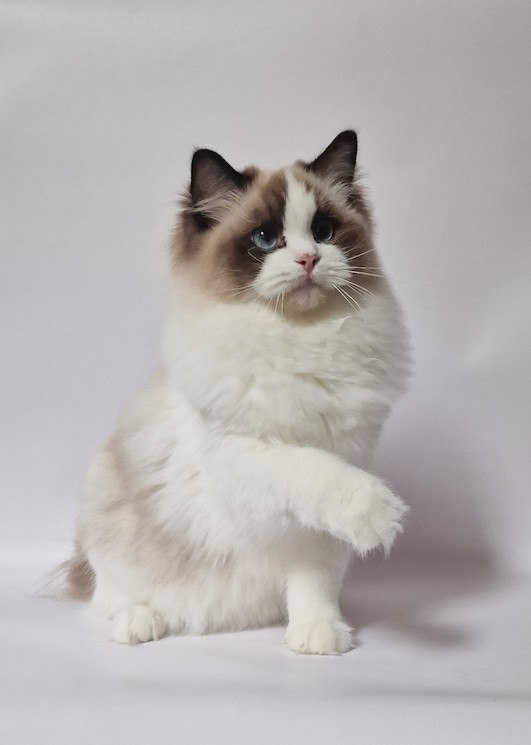 thumbnail_20231028_121742