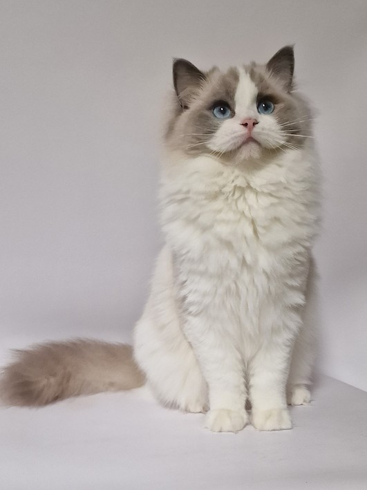 thumbnail_20231028_1221120