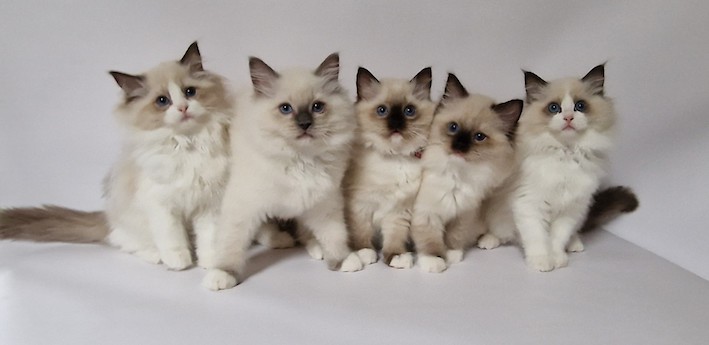 thumbnail_20231028_122537