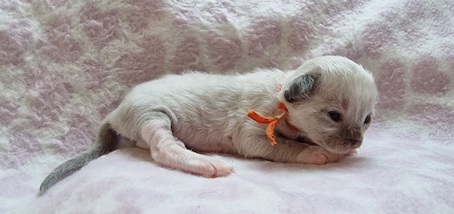 The Virtue Just awesome Jill