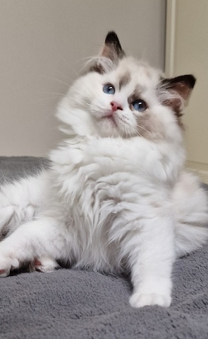 screenshot_20250502_190833_gallery